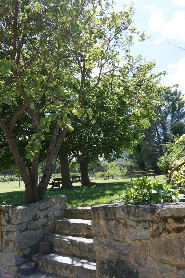Maison d'hôtes Mas Roquet à Maçanet de Cabrenys Extérieur photo