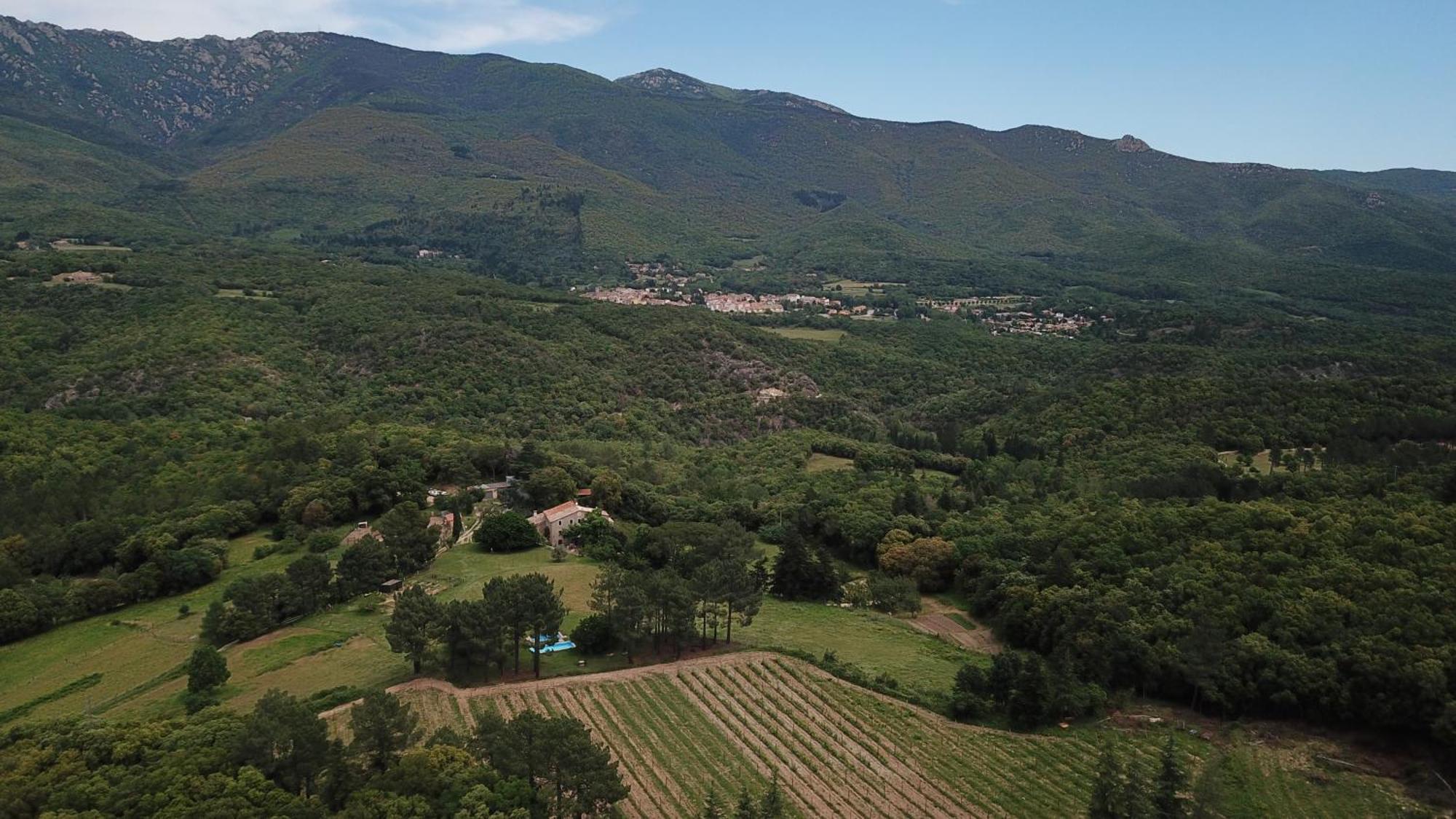 Maison d'hôtes Mas Roquet à Maçanet de Cabrenys Extérieur photo