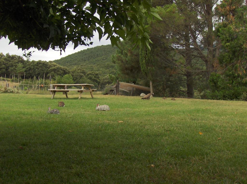 Maison d'hôtes Mas Roquet à Maçanet de Cabrenys Extérieur photo