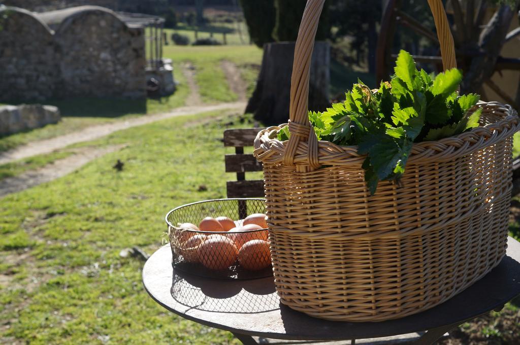 Maison d'hôtes Mas Roquet à Maçanet de Cabrenys Extérieur photo